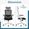 Adjustable Swivel Task Chair Ergonomic Office Chair with Adjustable Lumbar Support